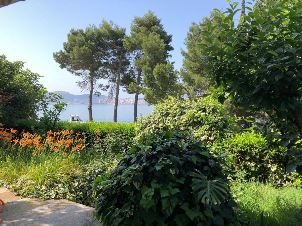 Apartment Sunce Bar