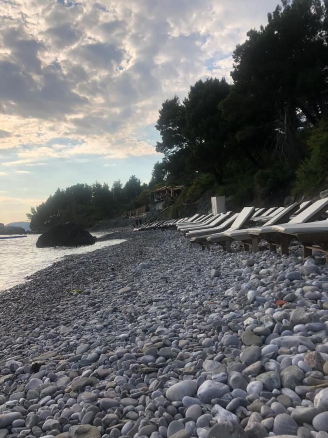 Apartman Sunce Bar